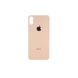 Компанія iCracked. Задня кришка корпуса Apple iPhone XS Gold, великий виріз під камеру НФ-00000588 фото 2